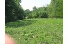 Property photo 28 - 27 Acres offered in 2 Tracts or Combination, Former U.A.W. Hall